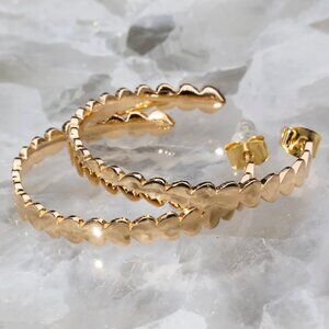 NWOT! Native Gem Heart Throb Hoops